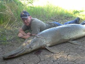 Alligator Gar 3