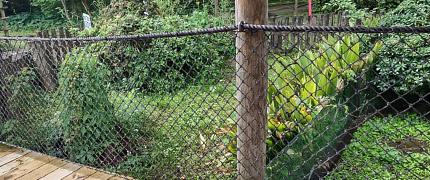 Marine Theme Handrail Net at a Pool - Recreation Nets & Water Park Nets