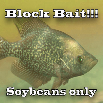 Cotton Seed/Soybean Bait 4