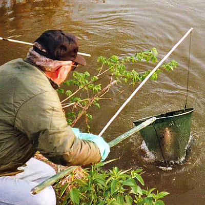 Diddy Pole Catfish Fishing