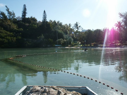 Bermuda Seine