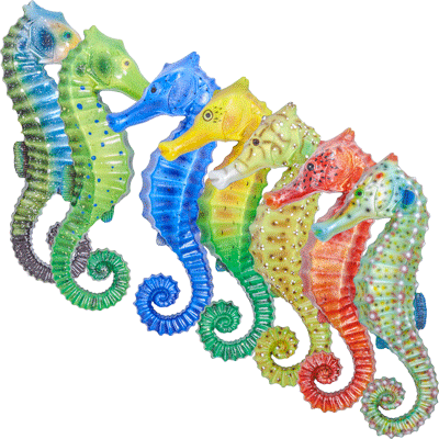 Decorative Fish Decorative Accessories - Nets & More