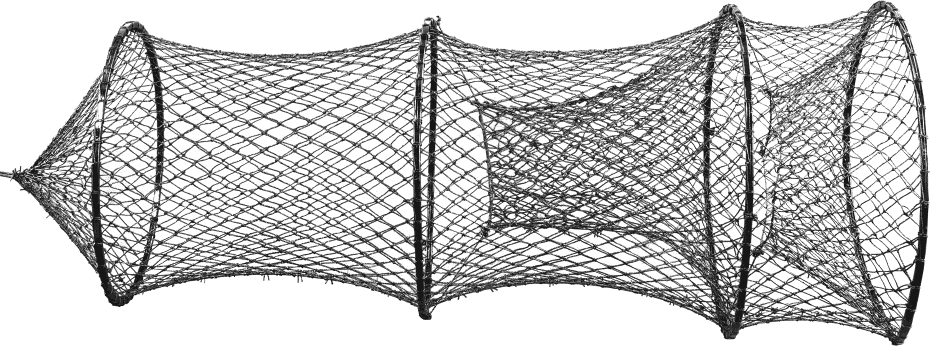 Catfish trap net with virtually indestructible Nyglass nylon hoops