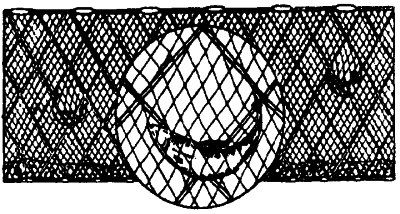 Gill Nets - Trammel - Nets & More