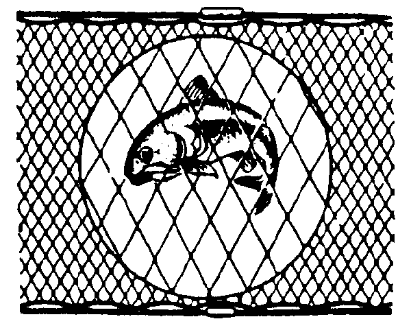 Gill Net illustration