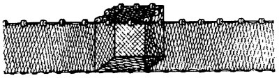 Seine Trawl Net with catch bag 20" 300" Fishing net Nylon 0,7mm Mesh 24mm New 