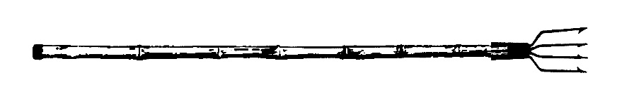 frog gig pole