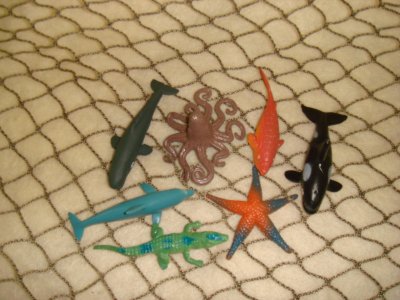 Assorted Oceanic Wildlife, 6 per package