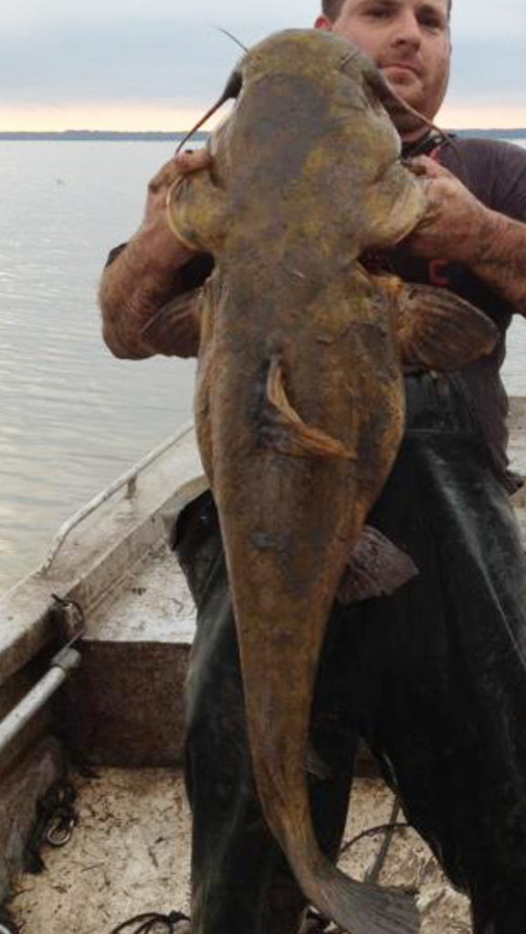 craigslist athens fishing poles Fishing poles - sporting goods - by owner - sale