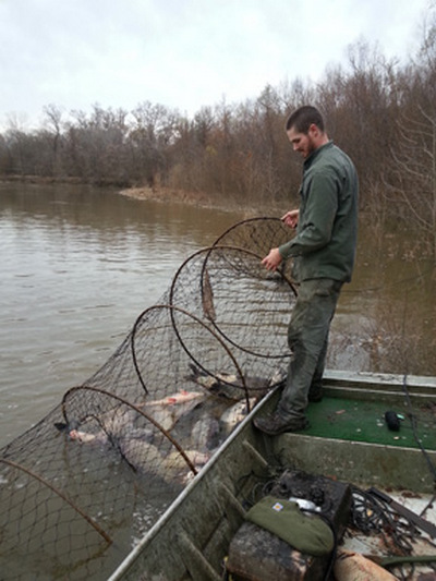 How to set up a hoop net  Hoop net, Catfish trap, Fishing net